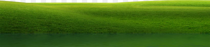 Artificial Turf Grassland Water Resources Ecosystem Land Lot, PNG, 1920x437px, Artificial Turf, Agriculture, Crop, Ecosystem, Field Download Free