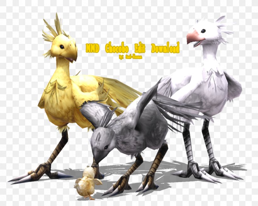 DeviantArt Rooster Chocobo Stock Photography, PNG, 1000x800px, Deviantart, Adaptation, Animal Figure, Animated Cartoon, Animation Download Free