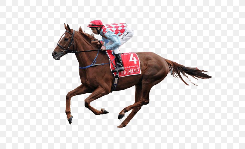 Horse Racing Melbourne Cup Sports Betting Red Cadeaux, PNG, 700x500px, Horse, Animal Sports, Betting Exchange, Bridle, Equestrian Download Free
