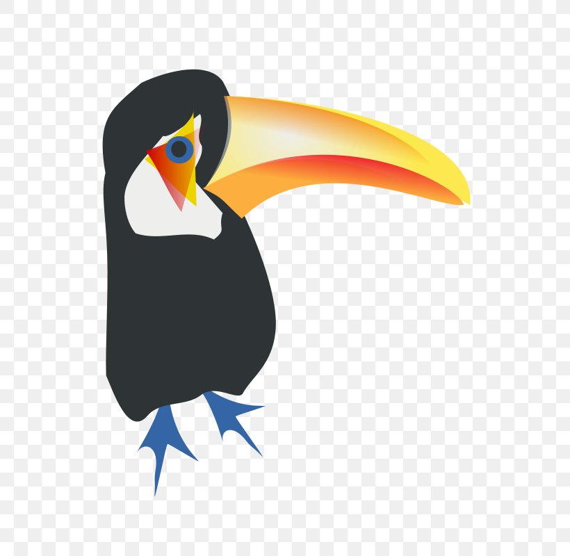 Toco Toucan Bird Clip Art, PNG, 566x800px, Toucan, Beak, Bird, Bird Of Prey, Copyright Download Free
