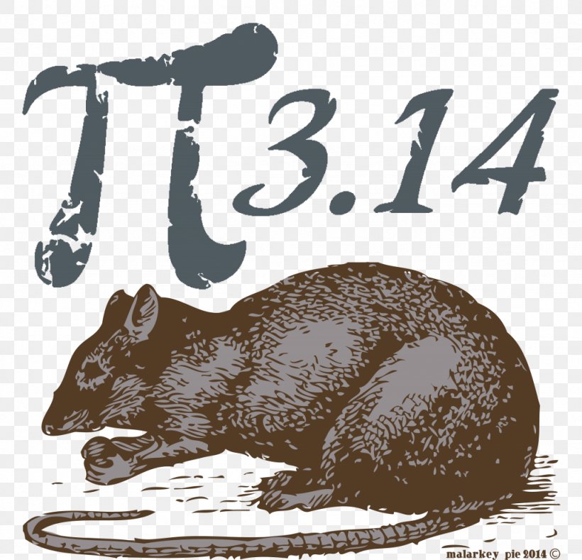 Pi Day Rat Mathematics Mammal, PNG, 1024x986px, Pi Day, Animal, Bear, Beaver, Carnivora Download Free