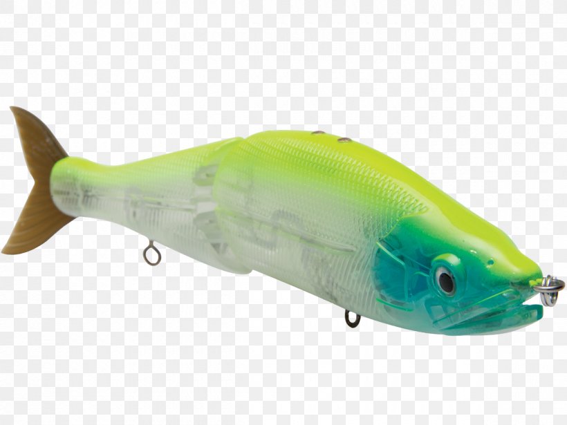 Spoon Lure Marine Biology Herring Oily Fish Milkfish, PNG, 1200x900px, Spoon Lure, Ac Power Plugs And Sockets, Bait, Biology, Blue Shiner Download Free