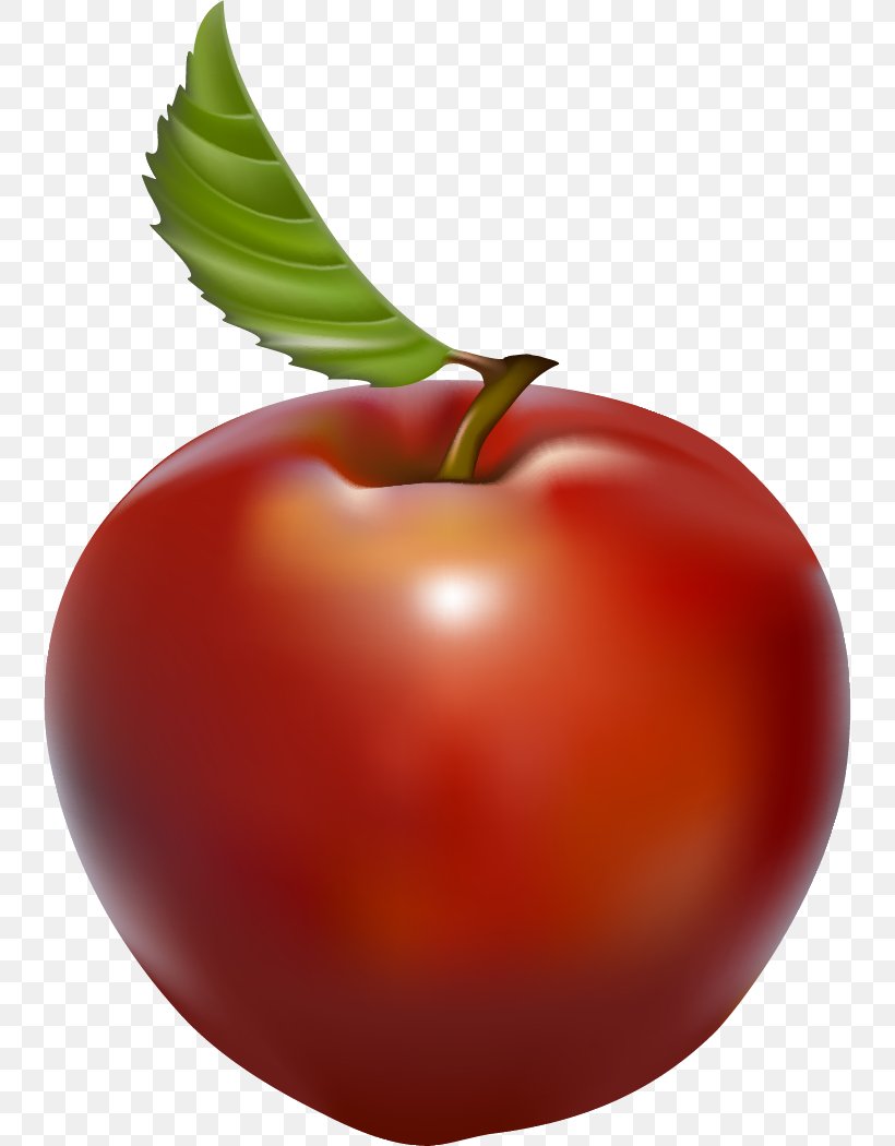 Tomato Watery Rose Apple Barbados Cherry, PNG, 739x1050px, Tomato, Acerola, Acerola Family, Apple, Barbados Cherry Download Free
