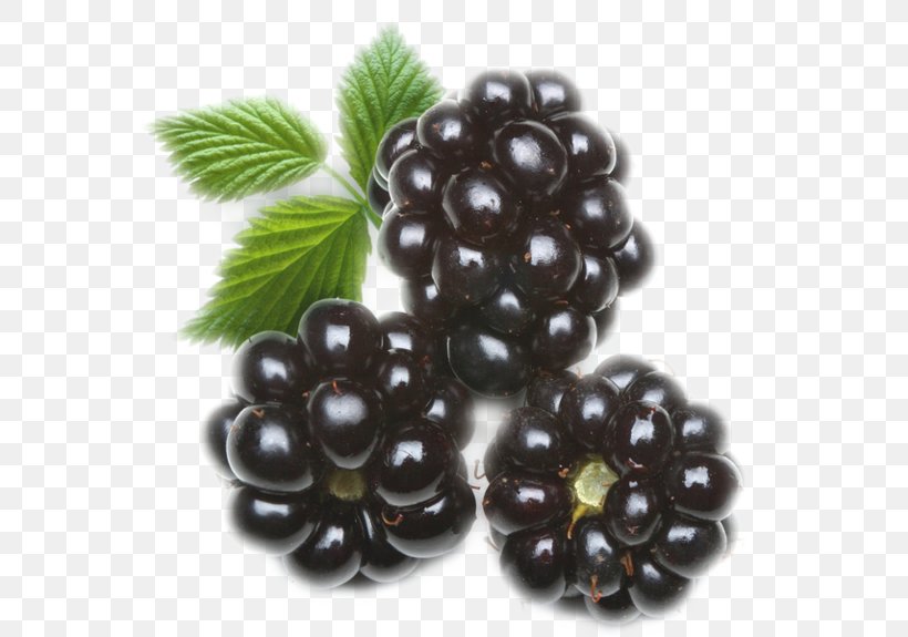 Blackberry Organic Food Gummi Candy Juice Dewberry, PNG, 600x575px, Blackberry, Bead, Berry, Boysenberry, Chokeberry Download Free