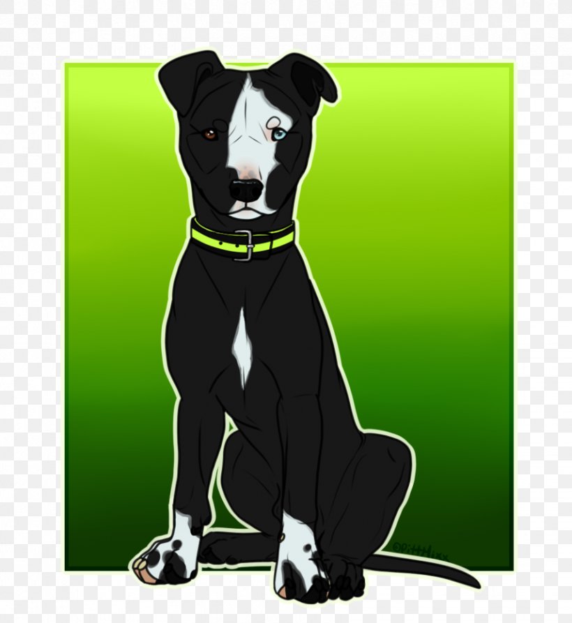 Dog Breed Italian Greyhound Leash Snout, PNG, 856x933px, Dog Breed, Breed, Carnivoran, Dog, Dog Like Mammal Download Free