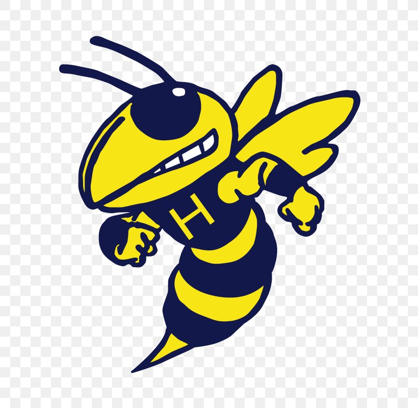 Hillsdale High School Hornet Davis Middle School Acadiana Clip Art, PNG, 600x800px, Hornet, Acadiana, Art, Artwork, Baldfaced Hornet Download Free