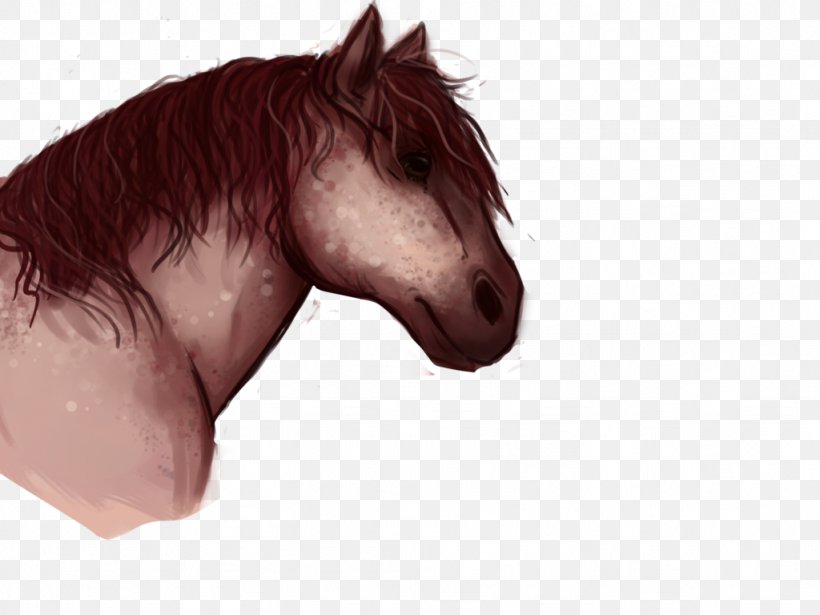 Mustang Stallion Halter Snout Rein, PNG, 1024x768px, Mustang, Character, Ear, Fictional Character, Hair Download Free