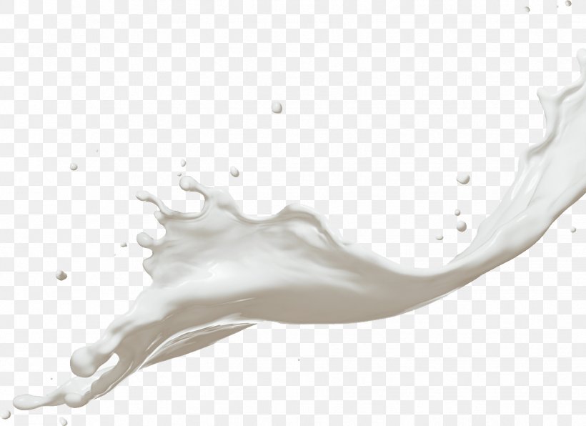 Coconut Milk Dairy Products Splash, PNG, 1339x974px, Milk, Black And White, Bottle, Branch, Coconut Milk Download Free