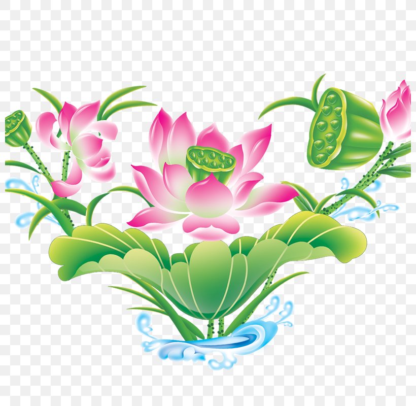 Flower Download Clip Art, PNG, 800x800px, Flower, Aquarium Decor, Cut Flowers, Decorative Arts, Flora Download Free