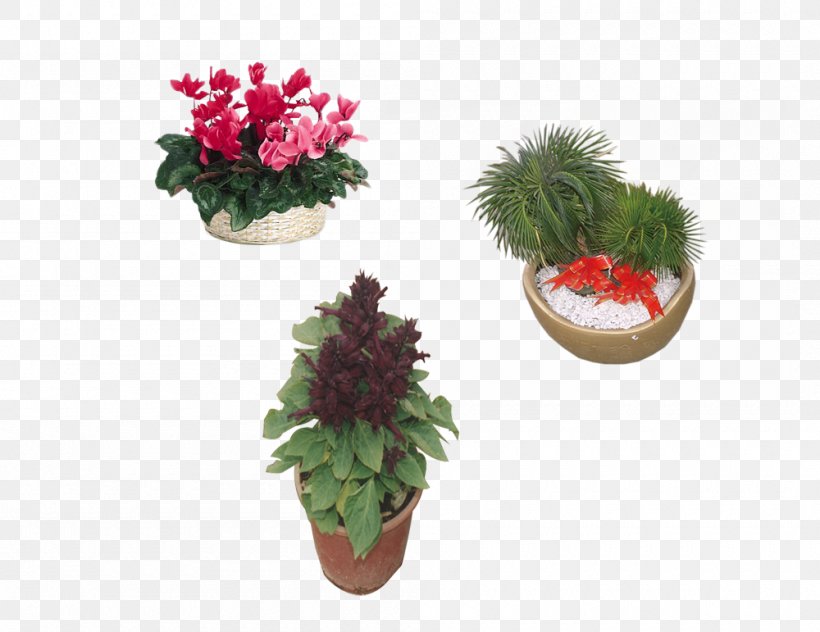 Flowerpot, PNG, 1000x771px, Flowerpot, Flower, Grass, Houseplant, Ornament Download Free