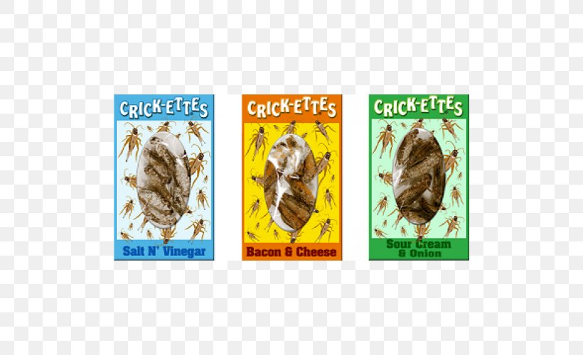 Insect Cricket Flour Food Lollipop, PNG, 500x500px, Insect, Candy, Cricket, Cricket Flour, Eating Download Free