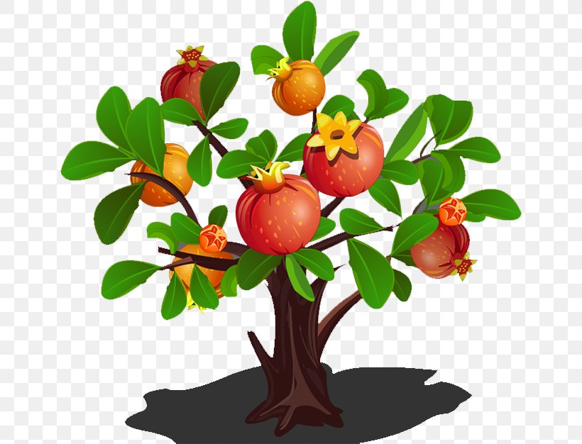 Pomegranate Tree Clip Art, PNG, 650x626px, Pomegranate, Apple, Auglis, Branch, Flower Download Free