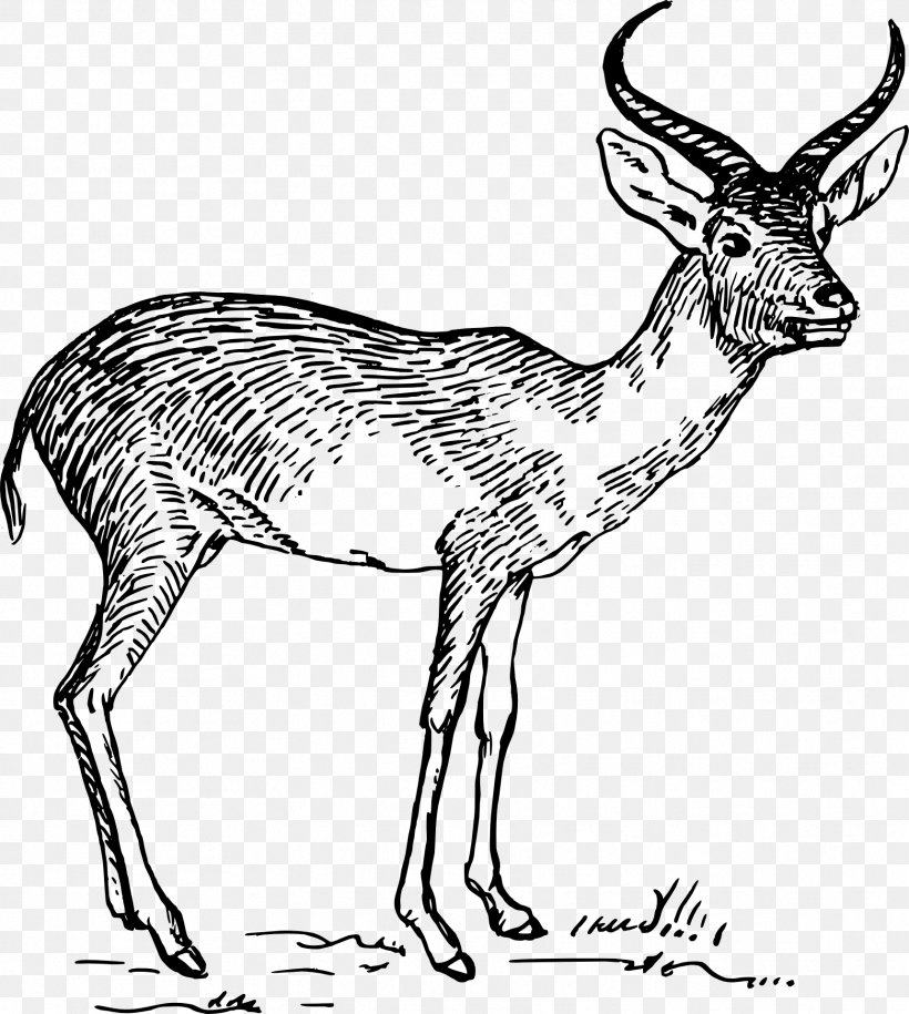 Antelope Pronghorn Gazelle Clip Art, PNG, 1719x1920px, Antelope, Animal Figure, Antler, Black And White, Cow Goat Family Download Free