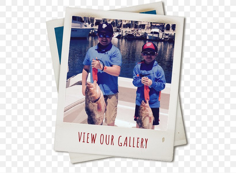 Crabby Charters Ft Myers Deep Sea Fishing Fort Myers Beach Recreational Boat Fishing, PNG, 503x601px, Fort Myers, Amberjack, Cape Coral, Dog Like Mammal, Fish Download Free