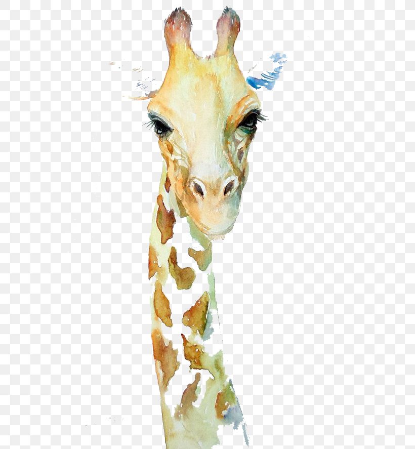 Northern Giraffe Watercolor Painting Art Drawing, PNG, 570x887px, Northern Giraffe, Animal, Animal Painter, Art, Artist Trading Cards Download Free