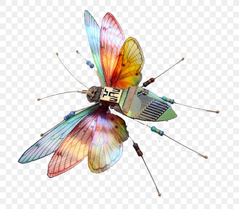 Insect Printed Circuit Board Electronic Circuit Electronics Computer Hardware, PNG, 749x717px, Insect, Butterfly, Colossal, Computer, Computer Hardware Download Free