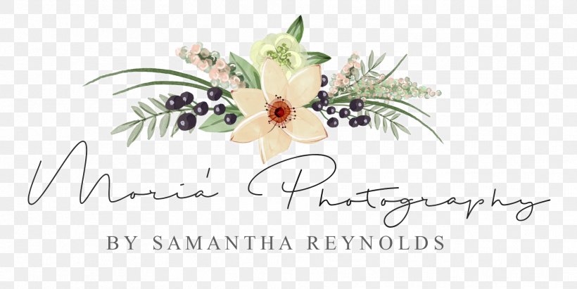 Portrait Photography Photographer, PNG, 1821x914px, Photography, Arena Flowers, Calligraphy, Cut Flowers, Event Photography Download Free
