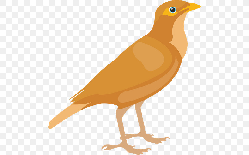 Bird Beak Songbird Atlantic Canary Perching Bird, PNG, 512x512px, Bird, Atlantic Canary, Beak, Canary, Eurasian Golden Oriole Download Free