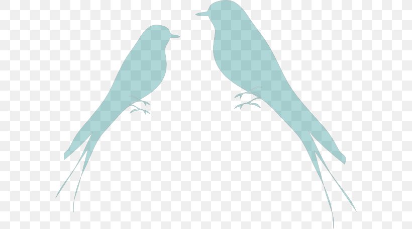 Bird Parrot Clip Art, PNG, 600x455px, Bird, Beak, Bird Of Prey, Birdcage, Branch Download Free