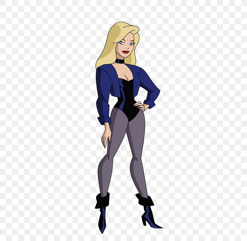 Black Canary Justice League Unlimited Green Arrow Zatanna Huntress, PNG, 400x800px, Watercolor, Cartoon, Flower, Frame, Heart Download Free