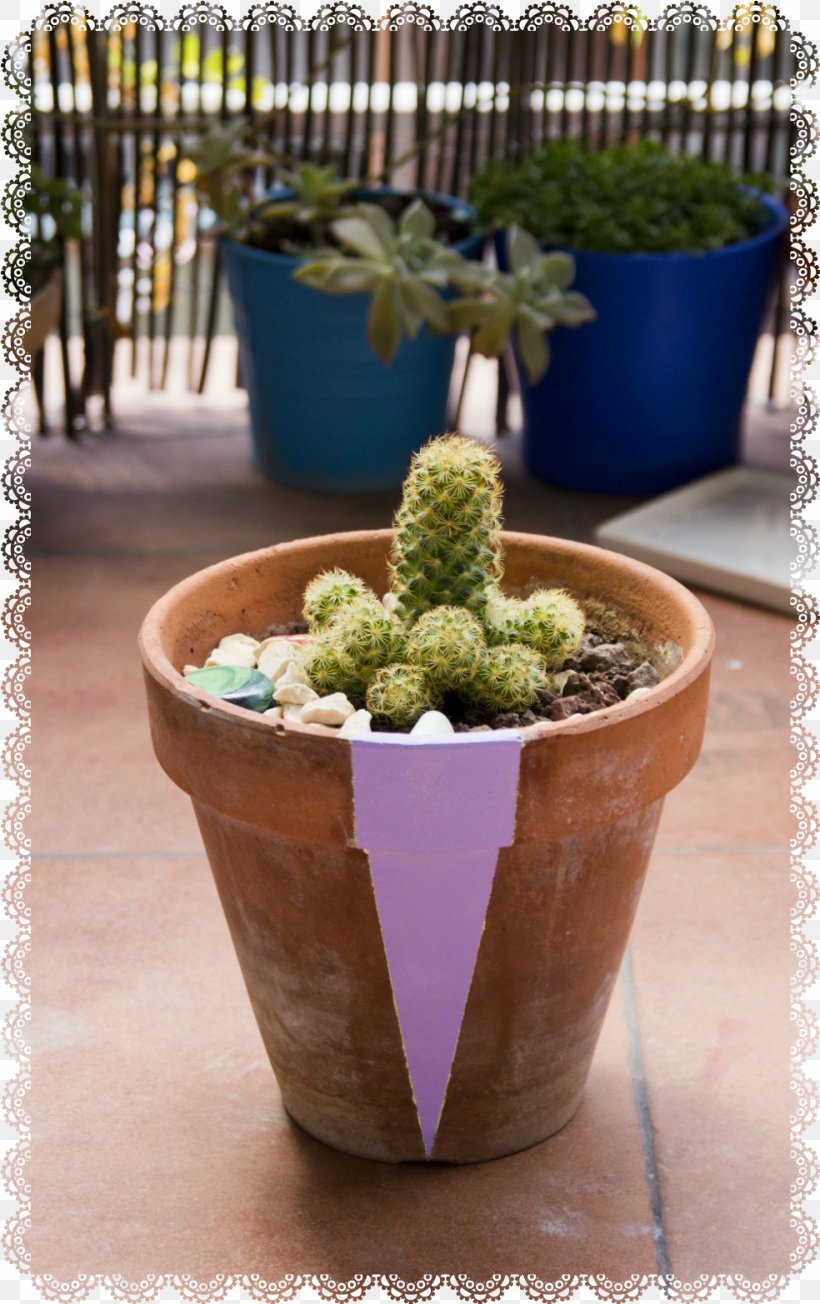 Flowerpot Citroën Cactus M Houseplant Herb, PNG, 984x1565px, Flowerpot, Cactus, Herb, Houseplant, Plant Download Free