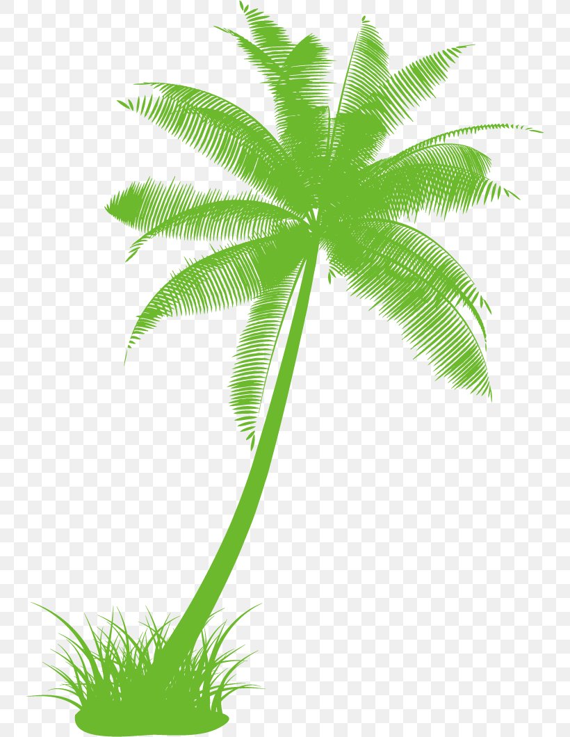 Arecaceae Drawing Tree Black And White Clip Art, PNG, 746x1060px, Arecaceae, Arecales, Black And White, Coconut, Drawing Download Free