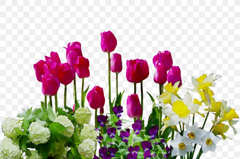 Clip Art Image Flower Garden Tulip, PNG, 1420x946px, Flower Garden, Annual Plant, Artificial Flower, Botany, Bouquet Download Free