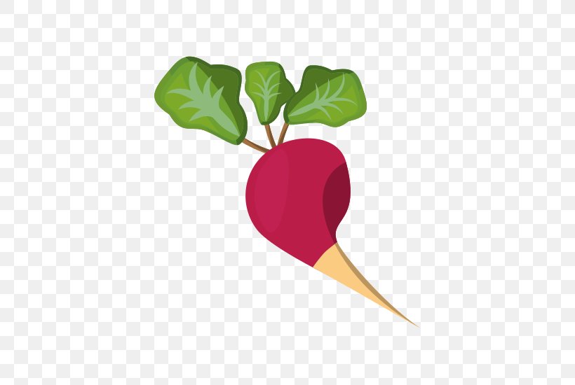 Heart Drawing, PNG, 550x550px, Stock Photography, Alamy, Anthurium, Beet, Beetroot Download Free