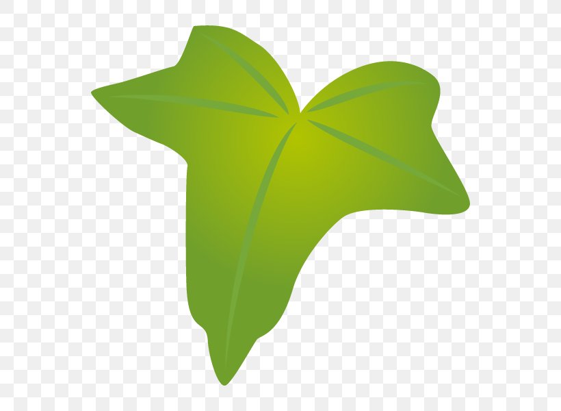 Illustration Leaf Boston Ivy Product Design, PNG, 600x600px, Leaf, Boston Ivy, Category Of Being, Color Gradient, Color Scheme Download Free