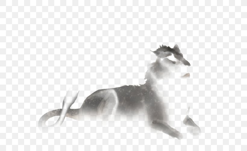 Whiskers Gray Wolf Lion Cat True Foxes, PNG, 640x500px, Whiskers, Artemis Entreri, Birth, Black, Black And White Download Free