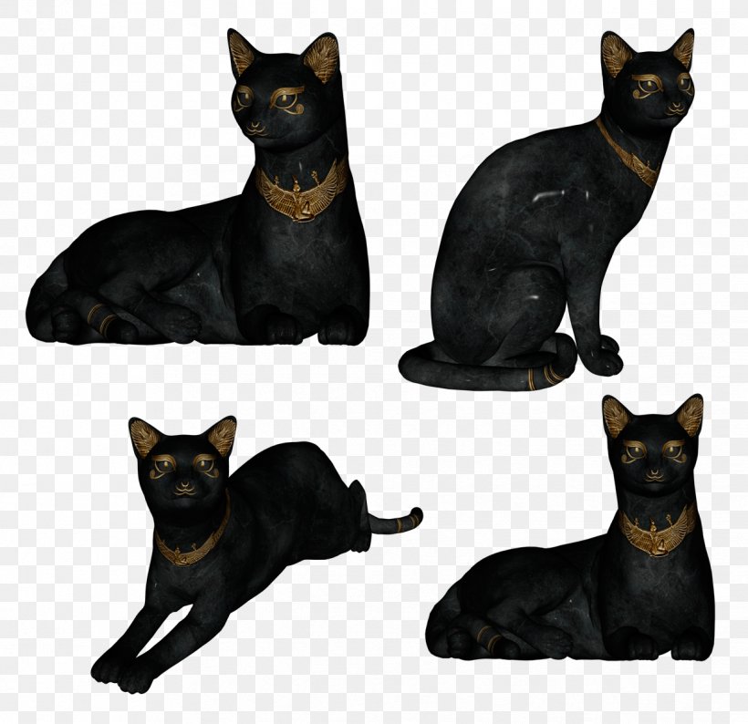 Bombay Cat Black Cat Havana Brown Domestic Short-haired Cat Sphynx Cat, PNG, 1238x1200px, Bombay Cat, Asian, Australian Kelpie, Black Cat, Bombay Download Free