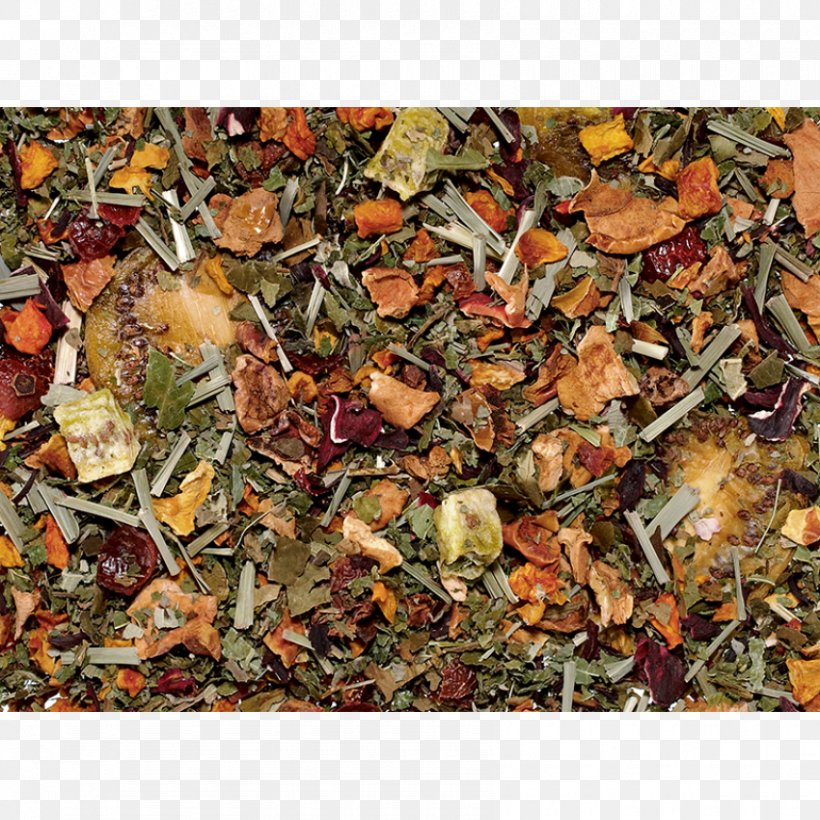 Green Tea Yvi´s House Of Tea Tea Strainers Infuser, PNG, 850x850px, Tea, Black Tea, Cup, Fruit, Green Tea Download Free