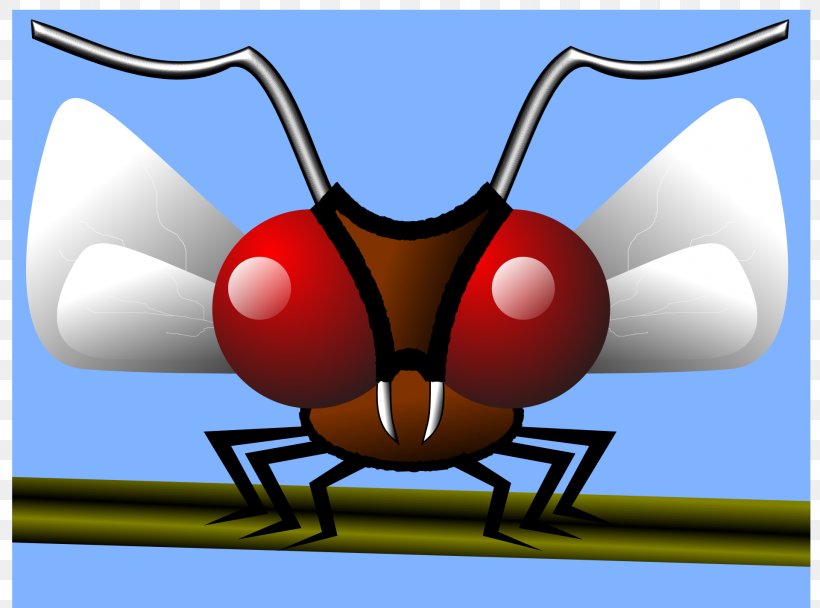 Mosquito Insect Gnat, PNG, 1920x1425px, Mosquito, Aedes Albopictus, Cartoon, Fly, Gnat Download Free