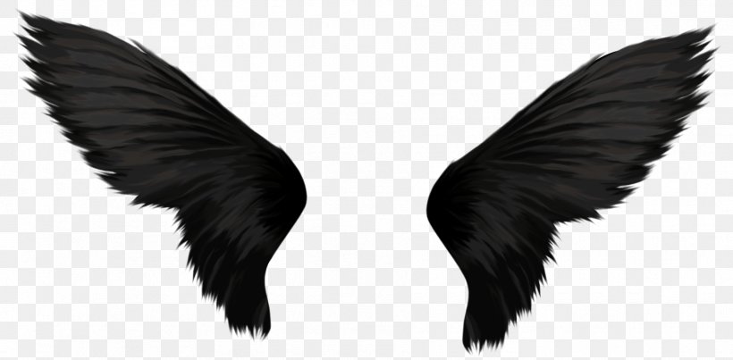 Wing Stock Photography, PNG, 1815x894px, Black And White, Angel, Beak, Feather, Fur Download Free