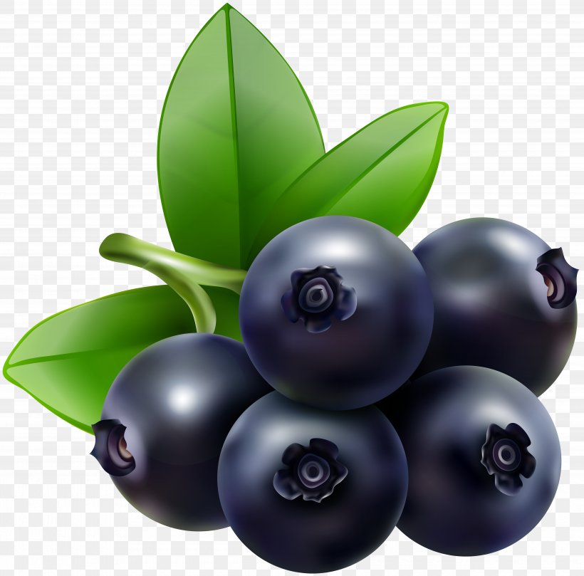 Blueberry Bilberry Huckleberry Clip Art, PNG, 5000x4937px, Blueberry, Apple, Berry, Bilberry, Drawing Download Free