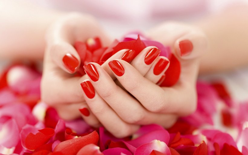 Lotion Pedicure Manicure Nail Beauty Parlour, PNG, 1920x1200px, Lotion, Artificial Nails, Beauty Parlour, Close Up, Day Spa Download Free