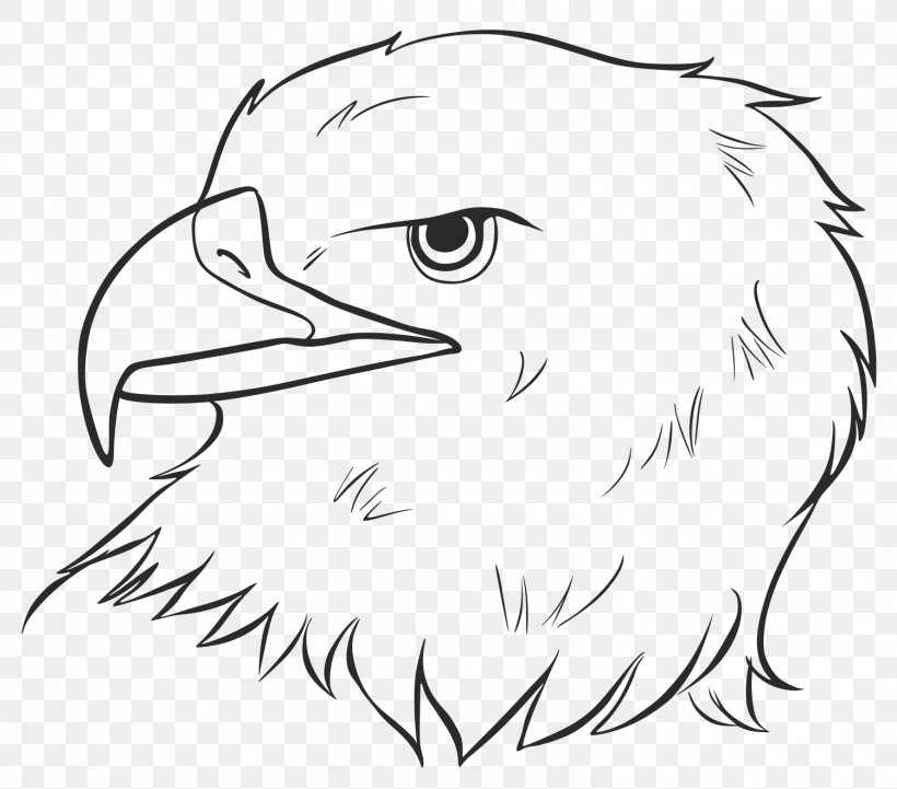Bald Eagle Beak Bird Drawing, PNG, 1500x1320px, Bald Eagle, Art, Artwork, Beak, Bird Download Free