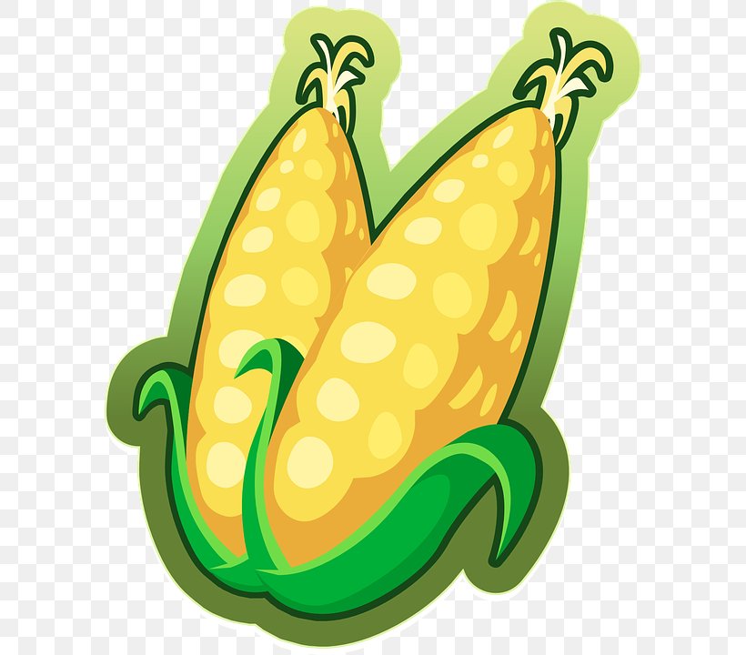 Corn On The Cob Free Content Maize Clip Art, PNG, 590x720px, Corn On The Cob, Amphibian, Banana, Banana Family, Blog Download Free