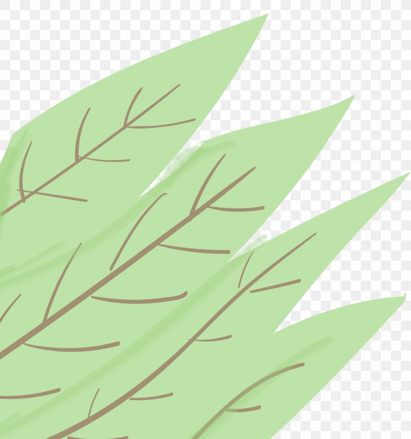 Family Tree Background, PNG, 1372x1467px, Branch, Family, Grass, Grass Family, Grasses Download Free