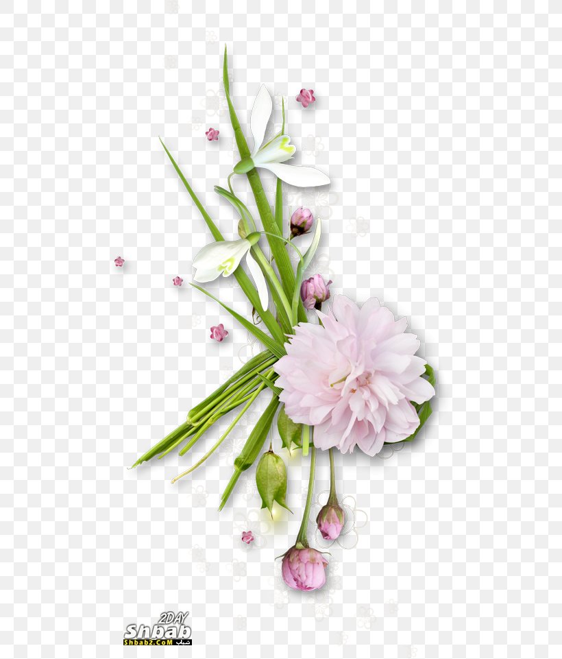 Flower Photography Clip Art, PNG, 500x961px, Flower, Blume, Cut Flowers, Digital Image, Flora Download Free