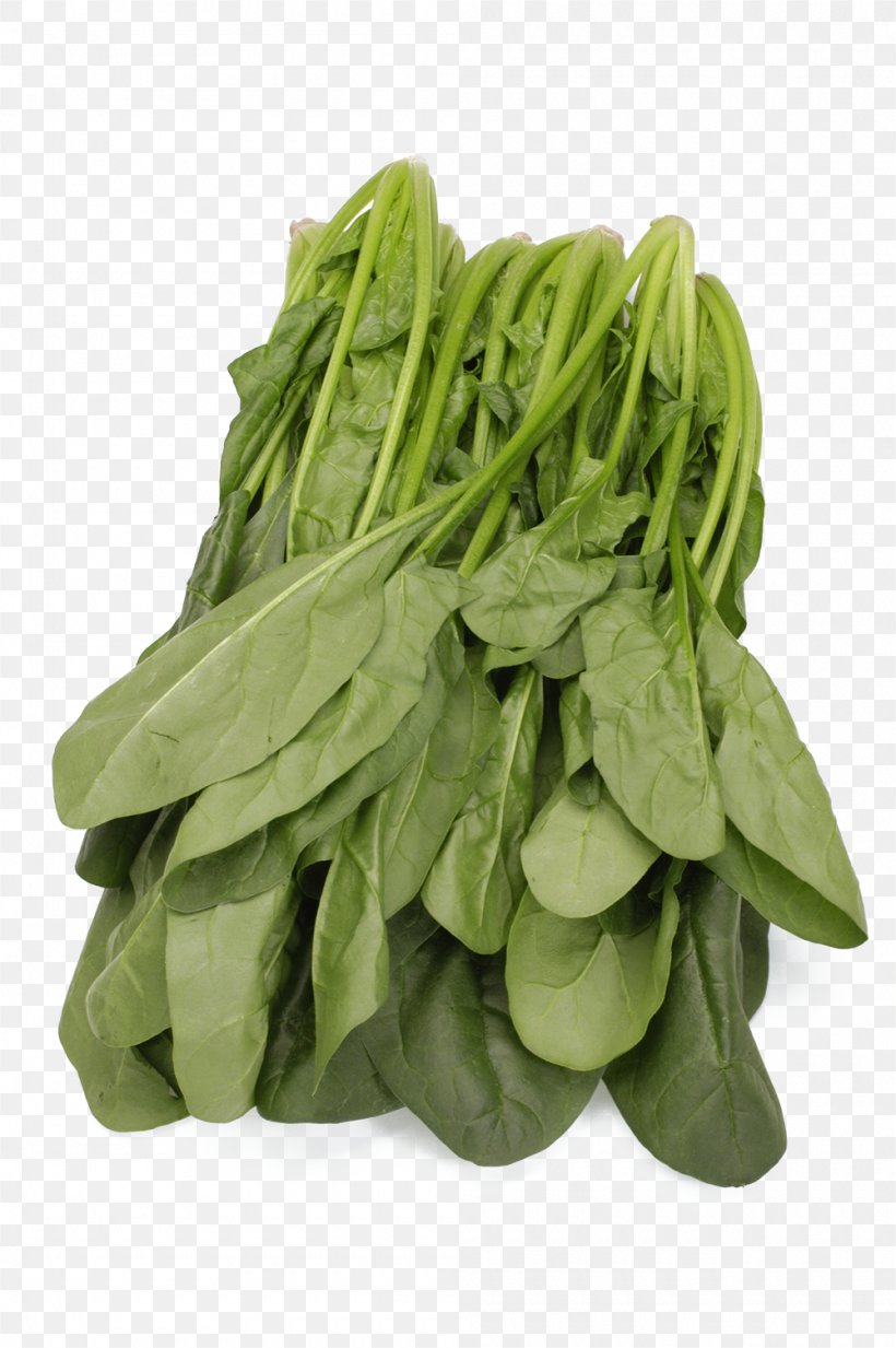 Spinach Leaf Vegetable, PNG, 1000x1504px, Spinach, Basil, Cabbage, Choy Sum, Collard Greens Download Free