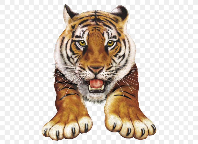 Amazing Pop-up Animal Atlas Tiger Clip Art Image, PNG, 500x597px, Amazing Popup Animal Atlas, Animal, Animal Figure, Bengal Tiger, Big Cats Download Free