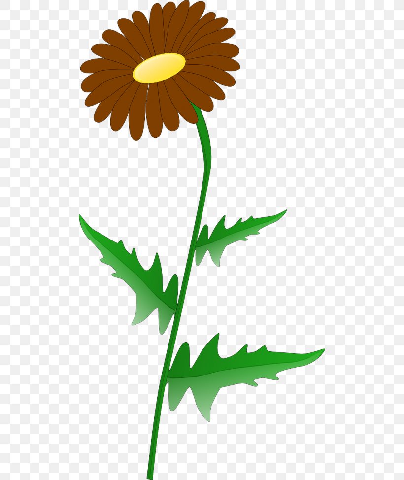 Clip Art Vector Graphics Free Content Common Daisy, PNG, 500x974px, Common Daisy, Botany, Camomile, Chamomile, Daisy Family Download Free