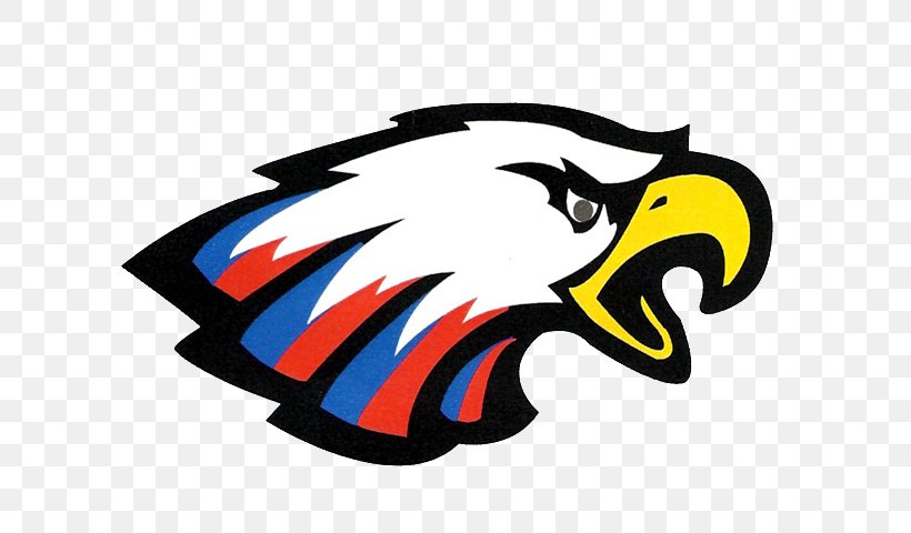 American High School National Secondary School Eagle High School School District, PNG, 640x480px, American High School, Artwork, Beak, Bird, Eagle High School Download Free