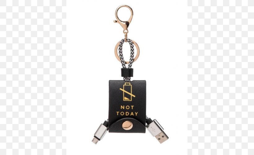 Battery Charger IPhone USB Mobile Phone Accessories Key Chains, PNG, 500x500px, Battery Charger, Artificial Leather, Color, Fashion Accessory, Iphone Download Free