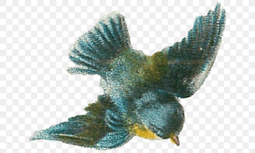 Bird Clip Art, PNG, 646x494px, Bird, Beak, Bird Egg, Birdcage, Drawing Download Free