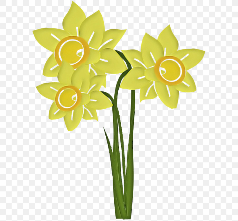 Flower Yellow Narcissus Plant Cut Flowers, PNG, 600x762px, Flower, Amaryllis Family, Cut Flowers, Flowerpot, Narcissus Download Free