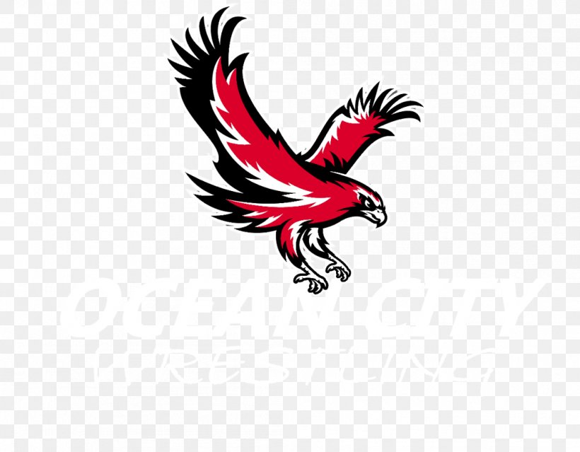 Ocean City High School Logo Red Oakland, PNG, 1053x821px, Logo, Beak, Bird, Bird Of Prey, Chicken Download Free