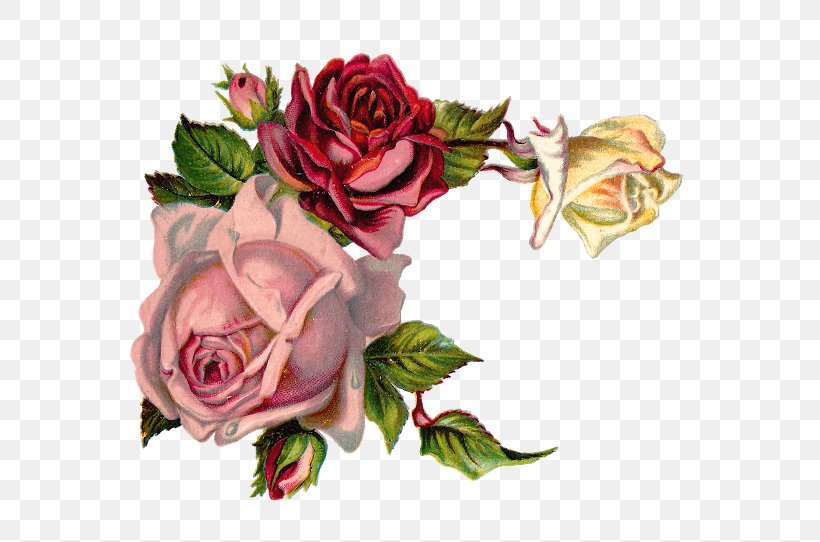 Rose Flower Pink Floral Design Clip Art, PNG, 640x542px, Rose, Antique, Artificial Flower, Cut Flowers, Floral Design Download Free