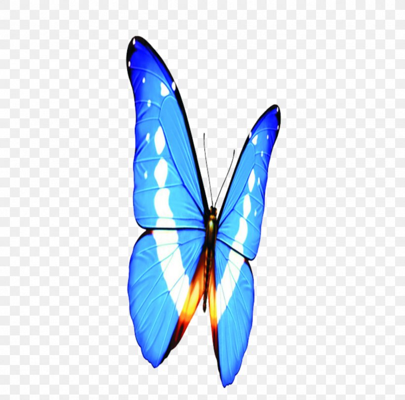 Monarch Butterfly Animation Brush-footed Butterflies Image, PNG, 1024x1013px, Butterfly, Animal Figure, Animation, Blue, Brushfooted Butterflies Download Free